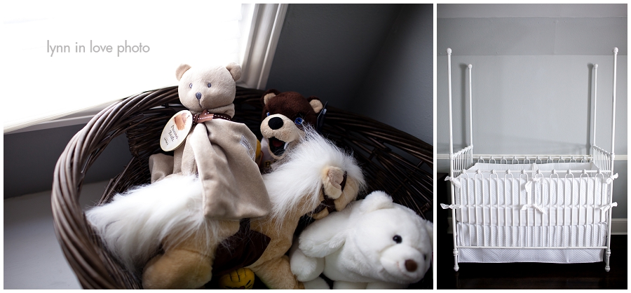 Dallas Nursery pictures