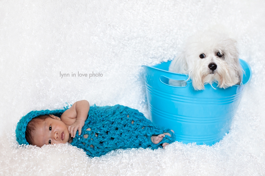 Kai_1month_Baby_newborn_012 Newborn with Dog