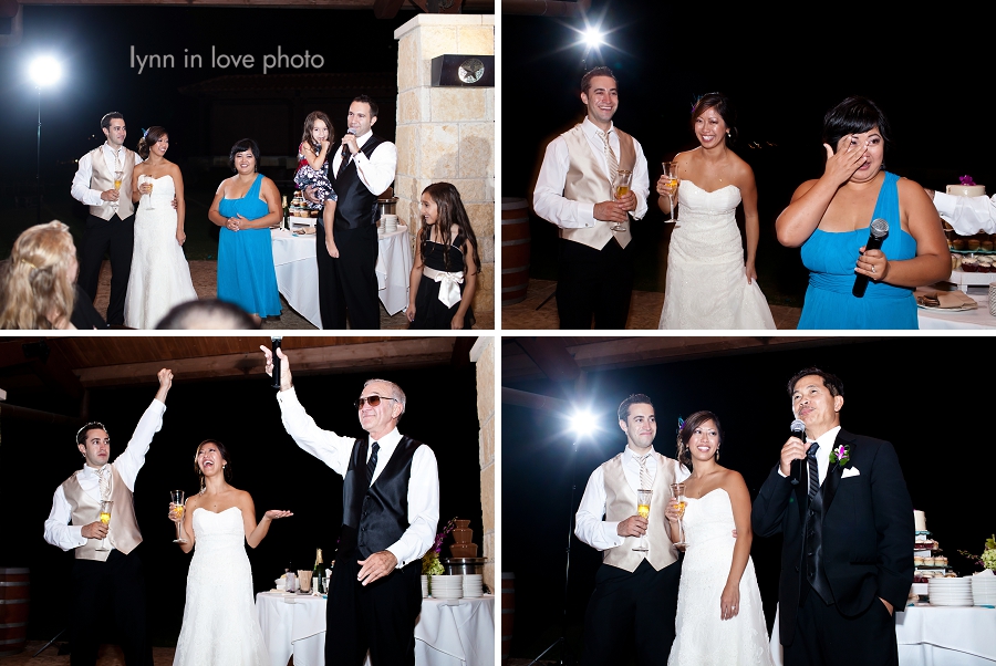 Touching and funny toasts and speeches at reception