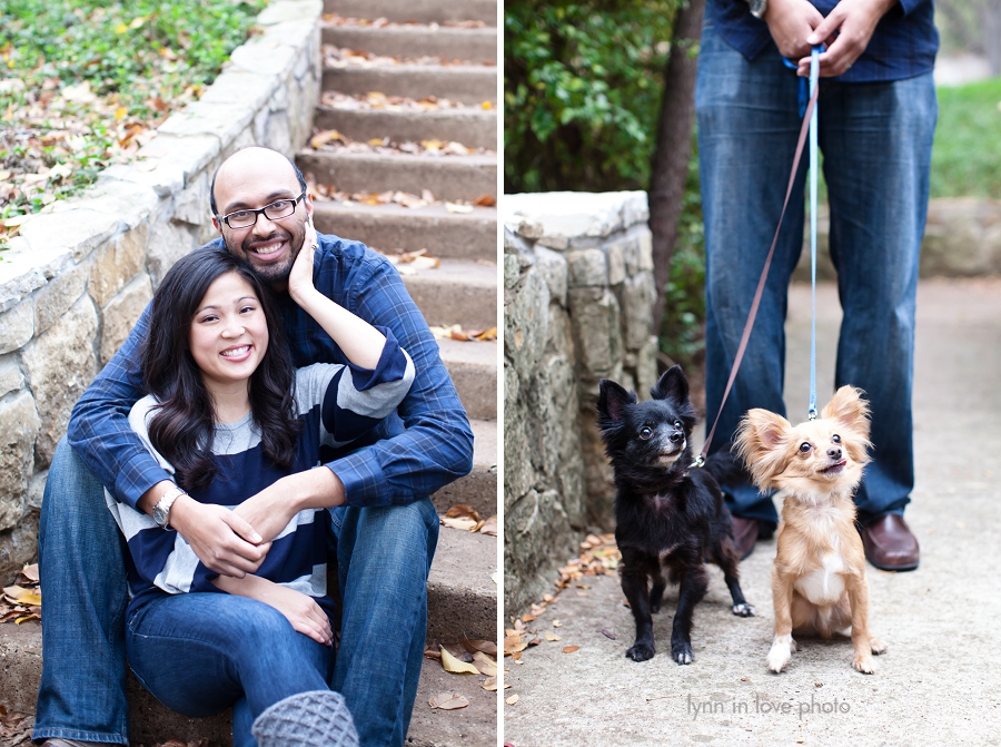Vivek and Jennifer's Sweet Portrait Love Shoot with two chihuahuas and navy blue and gray clothesin Highland Park, Dallas, TX by Lynn in Love Photo, Dallas Portrait Photographer 