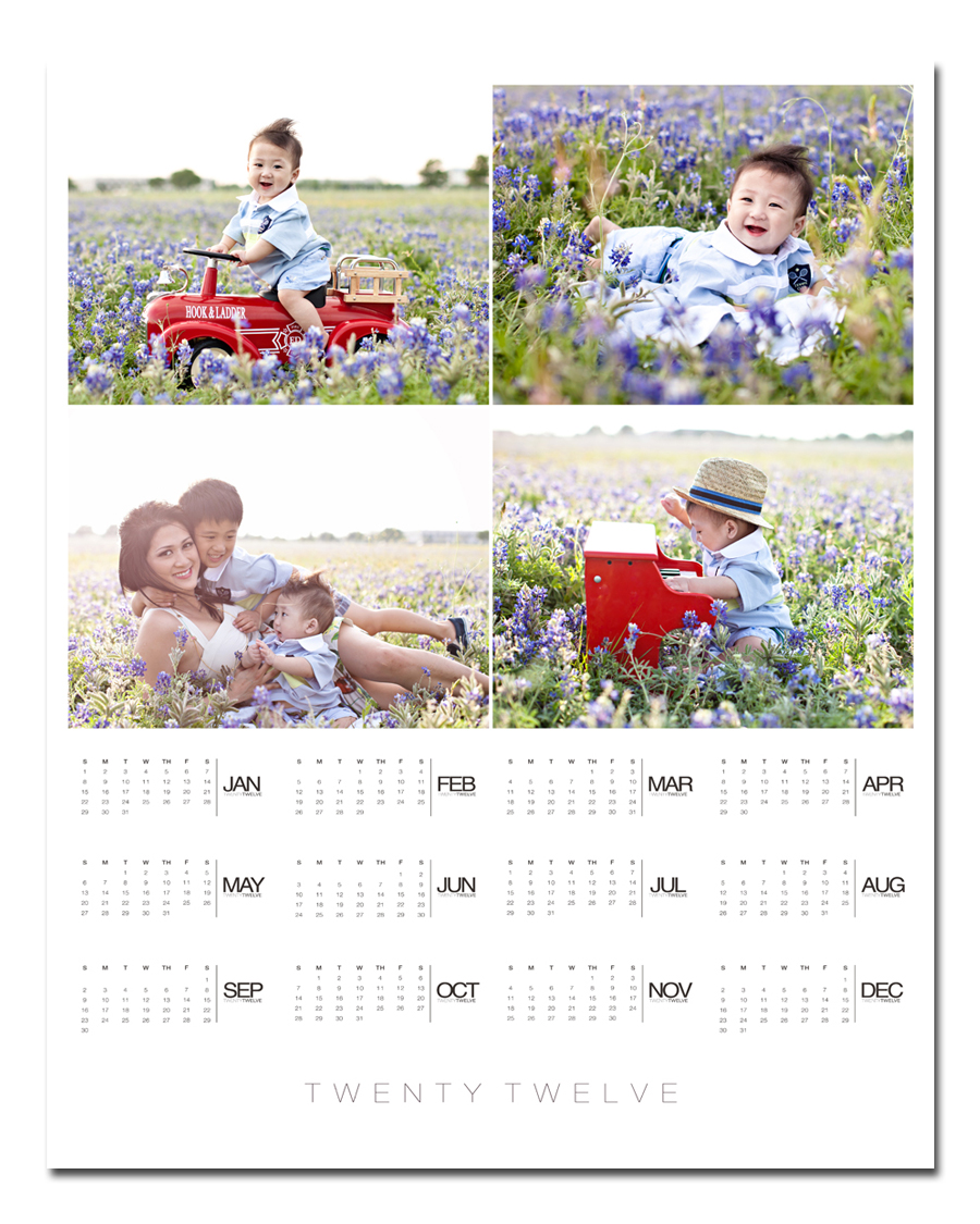 POSTER Calendar with Lynn in Love Photo Babies, Dallas Baby Photographer