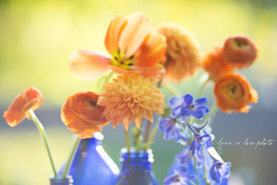 Lanchi and Todd's Rice University and Denver Bronco themed wedding with colorful details like these orange flowers in blue cobalt bottles at the Ft. Worth Japanese Gardens by Lynn in Love Photo, Dallas Wedding Photographer