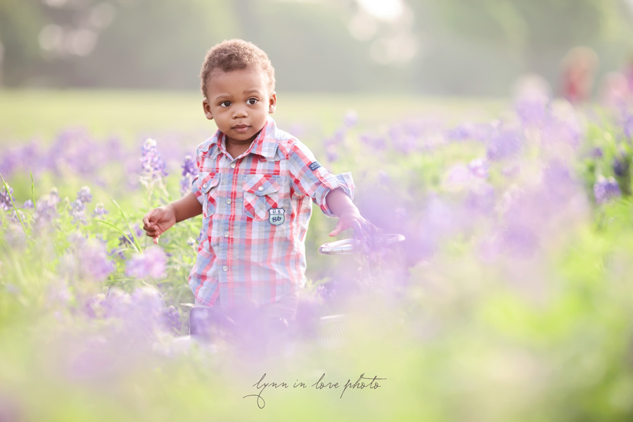 Sweet black boy in the Texas bluebonnets by Lynn in Love Photo, Dallas and Houston Child Photographer