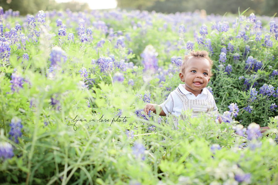 Black baby in bluebonents by Lynn in Love Photo, Dallas and Houston Child Photographer