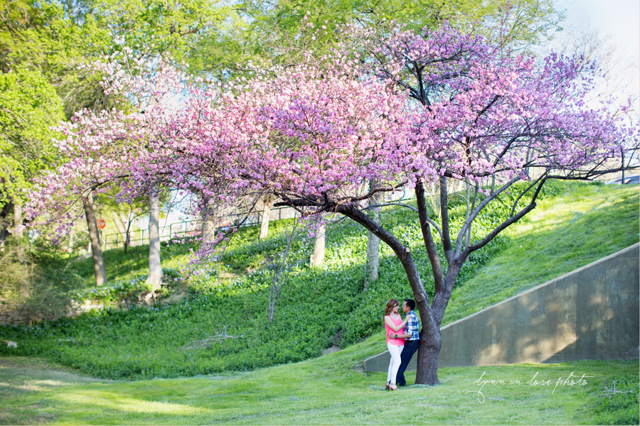 Ingrity and Michael's Anniversary Love Shoot in Highland Park with beautiful blossoming purple tree by Lynn in Love Photo, Dallas and Houston Portrait photographer